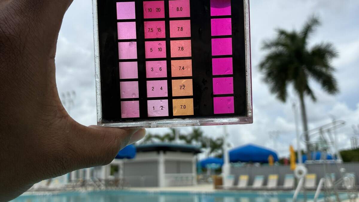 Florida Department of Health inspectors found a number of violantions at Bucky Dent Water Park pools in Hialeah, including loose ladders, steps missing anti-slip covers, high pH levels, low water levels and broken or missing gutter grates.
